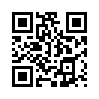 КулЛиб QR: Сумка волшебника (fb2)