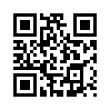 КулЛиб QR: Карающая длань (fb2)