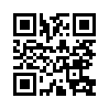 КулЛиб QR: Дуэт (fb2)