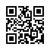 КулЛиб QR: Синагога и улица (fb2)