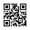 КулЛиб QR: Камень. Великий князь (fb2)