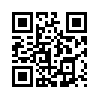 КулЛиб QR: Палиндром (fb2)