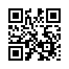 КулЛиб QR: Справка для президента (fb2)