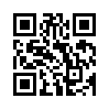 КулЛиб QR: Дурацкий способ (fb2)