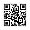 КулЛиб QR: Сыщица начала века (fb2)
