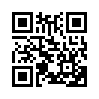 КулЛиб QR: Дама с пирожками (fb2)