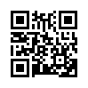 КулЛиб QR: Черчилль и Гитлер (fb2)