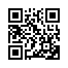 КулЛиб QR: Сувенир для олигарха (fb2)