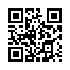 КулЛиб QR: Исторические повести (fb2)