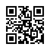 КулЛиб QR: Зеркало мага (fb2)