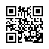 КулЛиб QR: Точки над i (fb2)