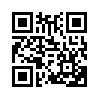 КулЛиб QR: Великий диктатор (fb2)