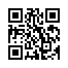 КулЛиб QR: Беглец (fb2)