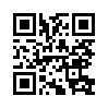 КулЛиб QR: Паук (fb2)