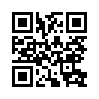 КулЛиб QR: Записки русского экстремиста (fb2)