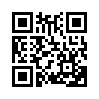 КулЛиб QR: Ошибка мертвого жокея (fb2)