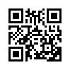 КулЛиб QR: О наказаниях (fb2)