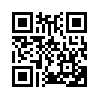 КулЛиб QR: Частные предположения (fb2)