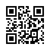КулЛиб QR: Партизанский комиcсар (fb2)