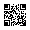 КулЛиб QR: Брезентовая сумка (fb2)