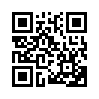 КулЛиб QR: Игра киллера (fb2)