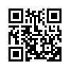 КулЛиб QR: Секрет каллиграфа (fb2)
