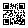 КулЛиб QR: Вспышка (fb2)