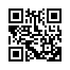 КулЛиб QR: Принцип матрешки (fb2)