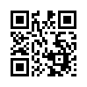 КулЛиб QR: Портрет и вокруг (fb2)