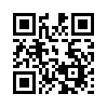 КулЛиб QR: Літак підбито над ціллю (fb2)