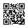 КулЛиб QR: Бесстыжий (fb2)