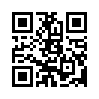 КулЛиб QR: Эпиграмма (fb2)