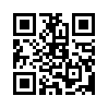 КулЛиб QR: Новичок (fb2)