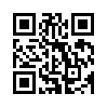 КулЛиб QR: Дикая кошка [СИ] (fb2)