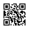 КулЛиб QR: Последнее слово (fb2)