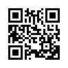 КулЛиб QR: Ниндзя с Лубянки (fb2)
