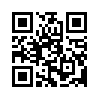 КулЛиб QR: Жук Рабиновича (fb2)