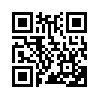 КулЛиб QR: Игра любви и случая (fb2)