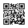 КулЛиб QR: Последние маги (fb2)