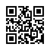 КулЛиб QR: Двойной обман (fb2)