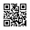 КулЛиб QR: Леди Ру (fb2)