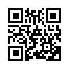 КулЛиб QR: Долг старших (fb2)