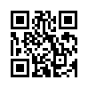КулЛиб QR: Знакомство по объявлению (fb2)