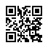 КулЛиб QR: Смело мы в бой пойдём (fb2)