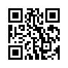 КулЛиб QR: Княжич (fb2)
