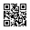 КулЛиб QR: Рассвет 2050 года. Брат теней (fb2)
