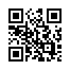 КулЛиб QR: История, конца которой нет (fb2)