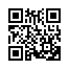 КулЛиб QR: Брат для волчонка 2 (fb2)