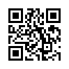 КулЛиб QR: Миссия в Венецию (fb2)