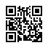 КулЛиб QR: Программа минимум для начинающих (fb2)